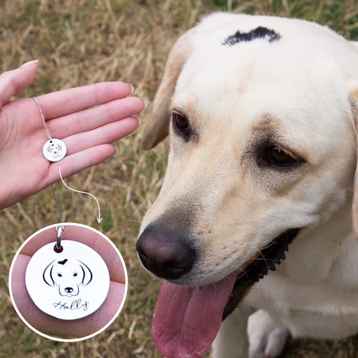 Dog with a silver necklace held by a hand, with a close-up of the tag inset of dog and name engraved on it.